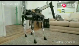 机器人跳舞视频,科技与艺术的完美融合