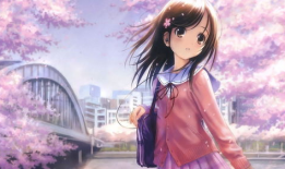 二次元动漫视频,一场视觉与情感的盛宴